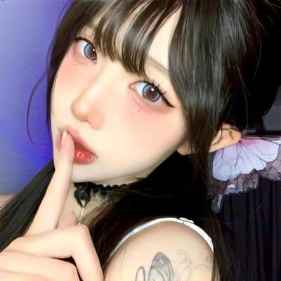 小鸟之翼第二季