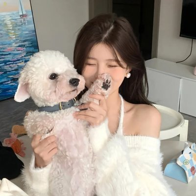 灰姑娘企鹅的温柔故事